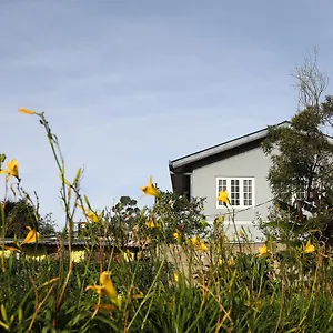 https://pedro-view-holiday-bungalow.kandyhotelsnow.com